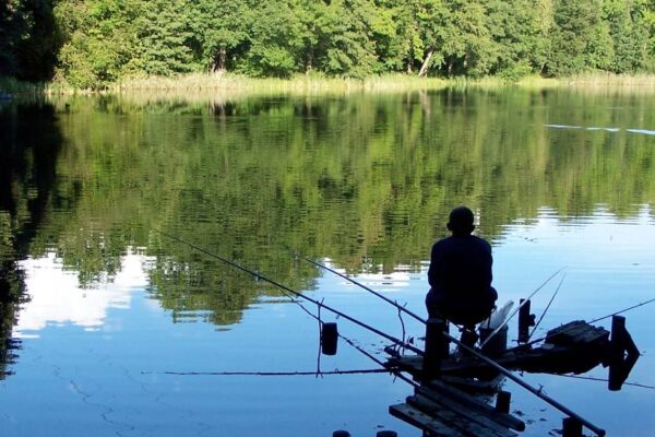 Guide to Montana Fishing Seasons, Regulations, and Licenses