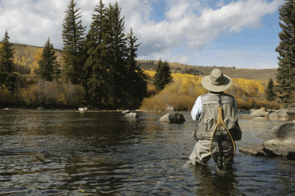 Early Summer Bites: Top Techniques for Bass as Temps Rise